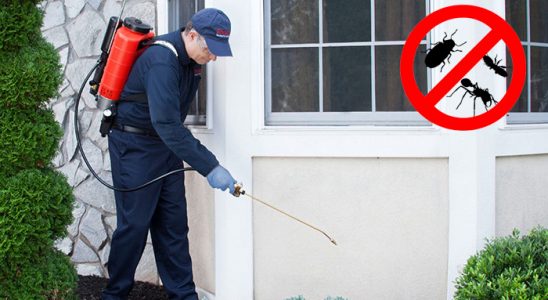 Mut Akrep İlaçlama böcek ilaçlama ve haşere kontrolü — ilaclama-tr.com